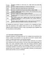 Diplomdarbs 'Tūristu izpriecas Rīgā - pozitīvais un negatīvais', 31.