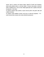 Diplomdarbs 'Tūristu izpriecas Rīgā - pozitīvais un negatīvais', 33.