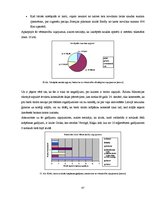 Diplomdarbs 'Tūristu izpriecas Rīgā - pozitīvais un negatīvais', 57.