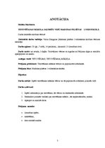 Referāts 'Tetovēšanas māksla jauniešu vidū', 3.