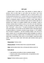 Referāts 'Tetovēšanas māksla jauniešu vidū', 5.