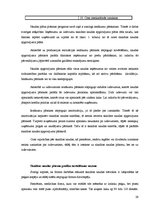 Referāts 'Nauda', 29.