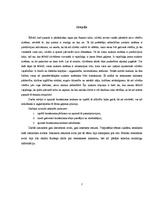 Referāts 'Humānisms', 2.