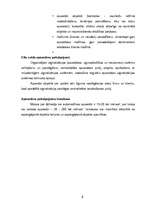 Referāts 'Uzņēmuma dibināšana', 6.