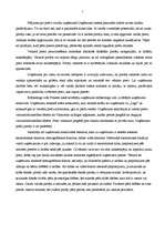 Prakses atskaite 'Prakse tirdzniecības jomā', 5.