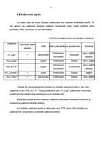 Prakses atskaite 'Prakse tirdzniecības jomā', 9.