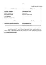 Prakses atskaite 'Prakse tirdzniecības jomā', 10.