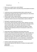 Prakses atskaite 'Prakse tirdzniecības jomā', 13.