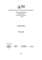 Prakses atskaite 'Prakse tirdzniecības jomā', 16.