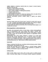 Referāts 'Drošības noteikumi, strādājot ar datoru', 5.