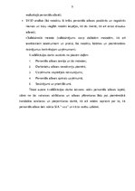 Diplomdarbs 'Personāla atlase sabiedrībā ar ierobežotu atbildību "X"', 5.