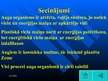 Prezentācija 'Augs - vienots organisms', 25.