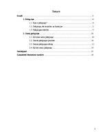 Referāts 'Pašapziņa', 2.