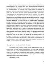 Referāts 'Viesnīcas "Gutenbergs" produkta raksturojums', 13.