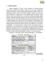 Referāts 'Viesnīcas "Gutenbergs" produkta raksturojums', 19.