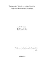 Paraugs 'Zinātniskais stils', 1.