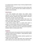 Konspekts 'Zenta Anspoka "Ābece un lasāmgrāmata. Latviešu valoda 3.klasei"', 3.