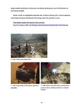 Referāts 'Aktuālās vides problēmas Latvijā un pasaulē, kas saistītas ar ķīmiju', 49.