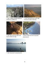 Referāts 'Aktuālās vides problēmas Latvijā un pasaulē, kas saistītas ar ķīmiju', 50.