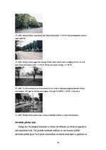 Referāts 'Aktuālās vides problēmas Latvijā un pasaulē, kas saistītas ar ķīmiju', 56.