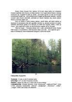 Referāts 'Straupes pagasts', 20.