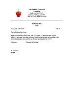 Paraugs 'Pārvaldes dokumentu izstrādāšana un noformēšana', 4.