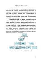 Referāts 'SIA "Multimark" stratēģijas analīze', 5.