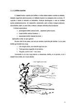 Referāts 'Pētnieciskais darbs psiholoģijā', 6.