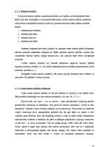 Referāts 'Pētnieciskais darbs psiholoģijā', 20.