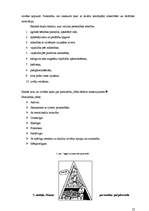 Referāts 'Pētnieciskais darbs psiholoģijā', 22.