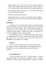 Paraugs 'Veikala "Trakās cenas" popularizēšana', 2.