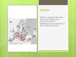Prezentācija 'Prezentācija par Eiropas kultūras reģionu', 3.