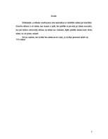 Referāts 'Piesārņojums upēs', 3.