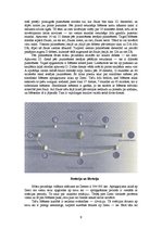 Referāts 'Astronomija', 9.