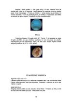 Referāts 'Astronomija', 16.