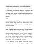 Konspekts 'Cilvēka organisms', 8.