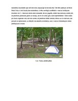 Eseja 'Tūrisma negatīvā ietekme uz Liepājas pludmali', 6.