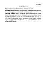 Konspekts 'Integrēta nodarbība 3.klasei', 11.