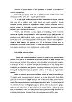 Referāts 'Vizuālā komunikācija un uztvere', 2.