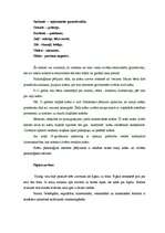 Referāts 'Vizuālā komunikācija un uztvere', 6.