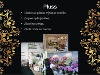 Prezentācija 'Biznesa plāna prezentācija ziedu veikalam', 10.