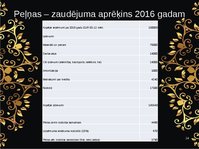 Prezentācija 'Biznesa plāna prezentācija ziedu veikalam', 14.