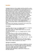 Konspekts 'Senā Ķīna', 1.