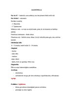 Konspekts 'Īss apraksts par salmonellu', 1.