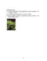 Referāts 'Ekoloģija', 14.