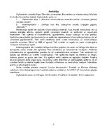 Diplomdarbs 'Inovatīvo siltumizolācijas materiālu analīze, izmantojot pūšamo iestrādes metodi', 5.