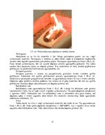 Diplomdarbs 'Inovatīvo siltumizolācijas materiālu analīze, izmantojot pūšamo iestrādes metodi', 21.