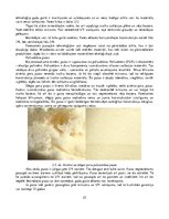 Diplomdarbs 'Inovatīvo siltumizolācijas materiālu analīze, izmantojot pūšamo iestrādes metodi', 25.