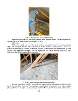 Diplomdarbs 'Inovatīvo siltumizolācijas materiālu analīze, izmantojot pūšamo iestrādes metodi', 30.