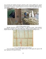 Diplomdarbs 'Inovatīvo siltumizolācijas materiālu analīze, izmantojot pūšamo iestrādes metodi', 38.